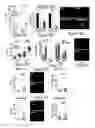 Fig. 14 - METHODS OF PREVENTING TUMOR METASTASIS, TREATING AND PROGNOSING CANCER AND IDENTIFYING AGENTS WHICH ARE PUTATIVE METASTASIS INHIBITORS