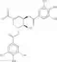 Fig. 22 - METHODS OF PREVENTING TUMOR METASTASIS, TREATING AND PROGNOSING CANCER AND IDENTIFYING AGENTS WHICH ARE PUTATIVE METASTASIS INHIBITORS