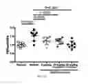 Fig. 07 - COMPOSITIONS AND METHODS FOR TREATING DIABETES AND LIVER DISEASES