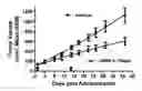 Fig. 01 - Methods and compositions for treating malignant tumors associated with kras mutation