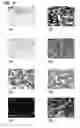 Fig. 07 - CROSSLINKED CATION EXCHANGE POLYMERS, COMPOSITIONS AND USE IN TREATING HYPERKALEMIA
