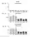 Fig. 07 - HUMAN LUNG STEM CELLS AND USES THEREOF