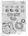 Fig. 08 - HUMAN LUNG STEM CELLS AND USES THEREOF