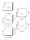 Fig. 11 - HUMAN LUNG STEM CELLS AND USES THEREOF