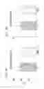 Fig. 12 - HUMAN LUNG STEM CELLS AND USES THEREOF