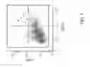 Fig. 14 - HUMAN LUNG STEM CELLS AND USES THEREOF