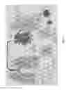 Fig. 16 - HUMAN LUNG STEM CELLS AND USES THEREOF