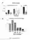 Fig. 17 - HUMAN LUNG STEM CELLS AND USES THEREOF