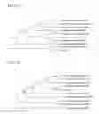 Fig. 02 - Composition comprising antifungal agents for treating vulvovaginitis and vaginosis