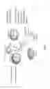 Fig. 02 - ONCOLYTIC RHABDOVIRUS