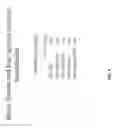 Fig. 09 - ONCOLYTIC RHABDOVIRUS