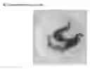 Fig. 01 - Seaweed extract and composition useful against cancer cells