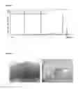 Fig. 05 - Seaweed extract and composition useful against cancer cells