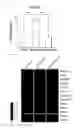Fig. 09 - Pharmaceutical composition for treating or preventing sensorineural hearing loss, containing cysteinyl leukotriene receptor antagonist and ginkgo leaf extract