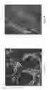 Fig. 06 - Method and compositions comprising a CT20 peptide