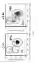 Fig. 07 - Method and compositions comprising a CT20 peptide