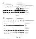 Fig. 02 - PEPTIDE AND SMALL MOLECULE AGONISTS OF EPHA AND THEIR USES IN DISEASE