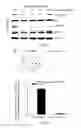 Fig. 03 - PEPTIDE AND SMALL MOLECULE AGONISTS OF EPHA AND THEIR USES IN DISEASE