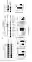 Fig. 16 - PEPTIDE AND SMALL MOLECULE AGONISTS OF EPHA AND THEIR USES IN DISEASE