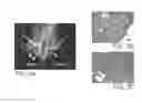 Fig. 04 - Pharmaceutical compositions for treating or preventing bone conditions