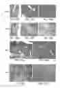 Fig. 10 - Pharmaceutical compositions for treating or preventing bone conditions