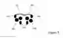 Fig. 06 - CLATHRIN REPLACEMENT THERAPEUTICS