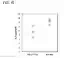 Fig. 06 - Methods and Compositions for the Generation and Maintenance of Regulatory T Cells