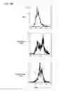 Fig. 08 - Methods and Compositions for the Generation and Maintenance of Regulatory T Cells