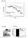 Fig. 16 - Methods and Compositions for the Generation and Maintenance of Regulatory T Cells