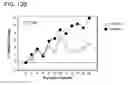Fig. 28 - Methods and Compositions for the Generation and Maintenance of Regulatory T Cells