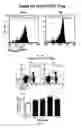 Fig. 08 - Pharmaceutical composition comprising bee venom-phospholipase A2 (bv-PLA2) for treating or preventing diseases related to degradation of abnormal regulatory T cell activity