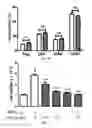 Fig. 09 - Pharmaceutical composition comprising bee venom-phospholipase A2 (bv-PLA2) for treating or preventing diseases related to degradation of abnormal regulatory T cell activity