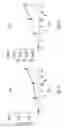 Fig. 08 - Compositions and methods for inducing immune tolerance
