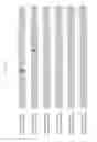 Fig. 08 - Methods and compositions for transgene expression in a herpesvirus vector system