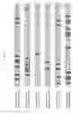 Fig. 12 - Methods and compositions for transgene expression in a herpesvirus vector system