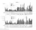 Fig. 17 - Methods and compositions for transgene expression in a herpesvirus vector system