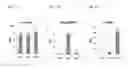 Fig. 34 - Methods and compositions for transgene expression in a herpesvirus vector system