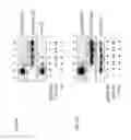 Fig. 37 - Methods and compositions for transgene expression in a herpesvirus vector system