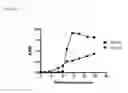 Fig. 41 - Methods and compositions for transgene expression in a herpesvirus vector system