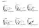 Fig. 43 - Methods and compositions for transgene expression in a herpesvirus vector system