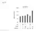 Fig. 46 - Methods and compositions for transgene expression in a herpesvirus vector system