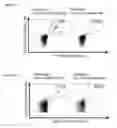 Fig. 31 - Peptides and combination of peptides for use in immunotherapy against various cancers