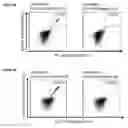 Fig. 32 - Peptides and combination of peptides for use in immunotherapy against various cancers