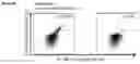 Fig. 35 - Peptides and combination of peptides for use in immunotherapy against various cancers