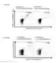 Fig. 31 - Peptides and combination of peptides for use in immunotherapy against various cancers