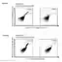 Fig. 33 - Peptides and combination of peptides for use in immunotherapy against various cancers