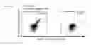 Fig. 35 - Peptides and combination of peptides for use in immunotherapy against various cancers