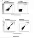 Fig. 30 - Peptides and combination of peptides for use in immunotherapy against CLL and other cancers