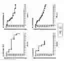Fig. 14 - Replication defective adenovirus vector in vaccination