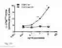 Fig. 05 - Nanoparticles for immune stimulation